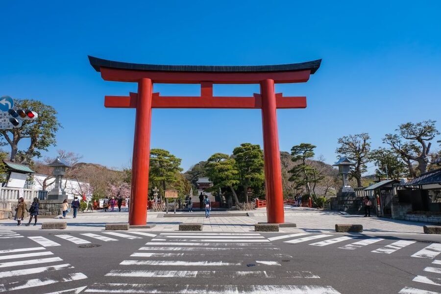 Tokyo: Kamakura & Enoshima Day Trip including Temple Tickets - Hasedera and the 9.18-meter Kannon