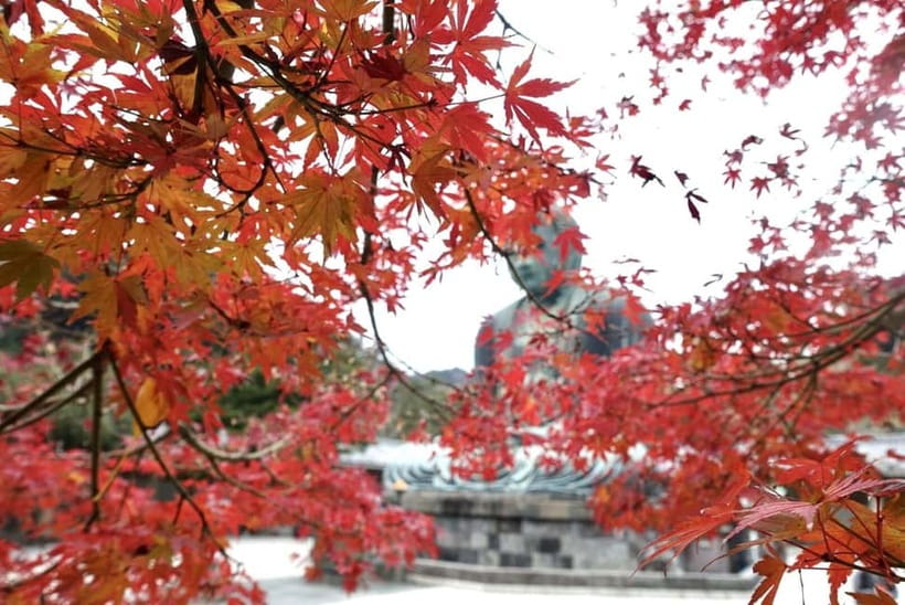 Tokyo: Kamakura & Enoshima Day Trip including Temple Tickets - Sea Candle, Shrine, Caves, and Benzaiten Street