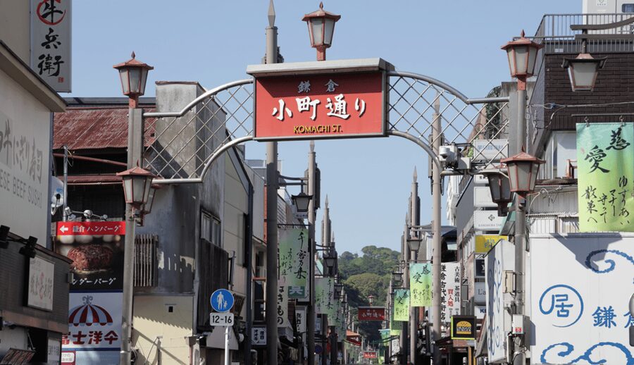 Tokyo: Kamakura & Enoshima Day Trip including Temple Tickets - How the guide and transport affect the experience