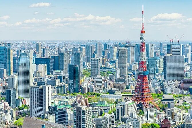 Tokyo Layover 5 Hours Private Tour - Why a private tour works well at Haneda