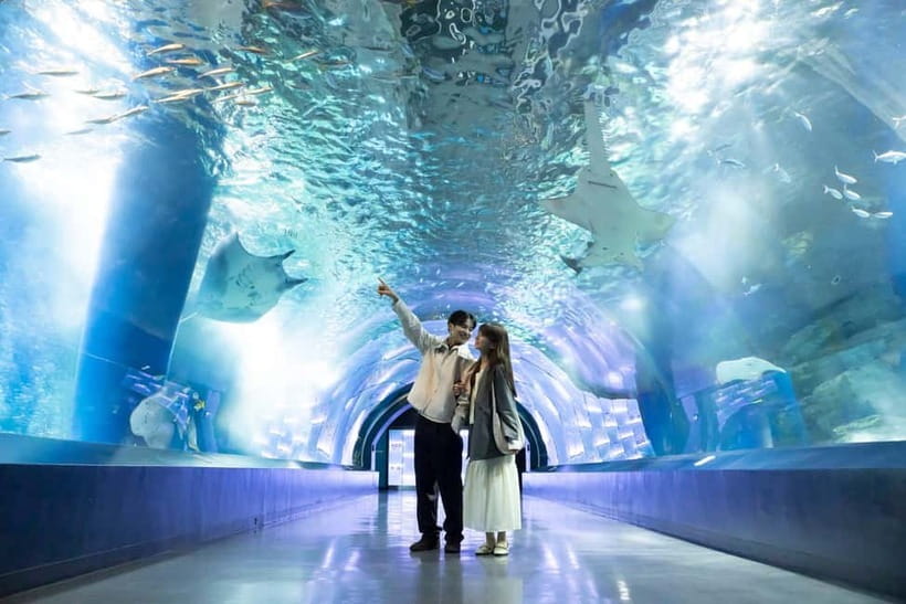 Tokyo: Maxell Aqua Park Shinagawa Direct Entry Ticket - Key points to know before you go