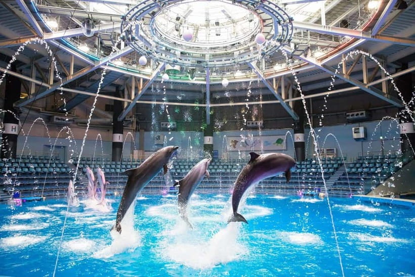 Tokyo: Maxell Aqua Park Shinagawa Direct Entry Ticket - A modern aquarium built for quick visual impact