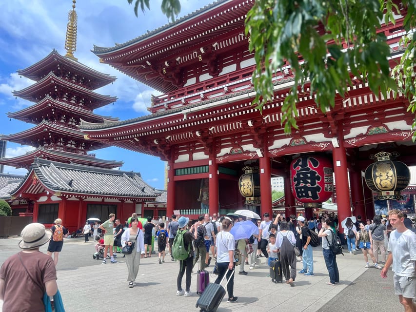 Tokyo: Meiji Jingu Shrine and Shinto Culture Walking Tour - Why Meiji Jingu makes a good first Tokyo tour