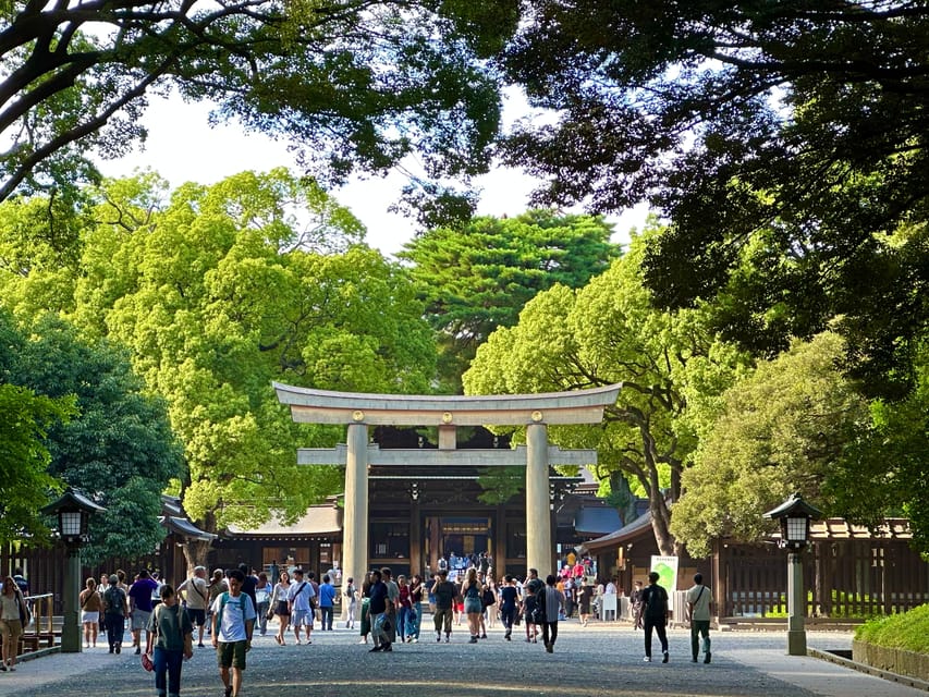 Tokyo: Meiji Jingu Shrine and Shinto Culture Walking Tour - How small groups change the experience