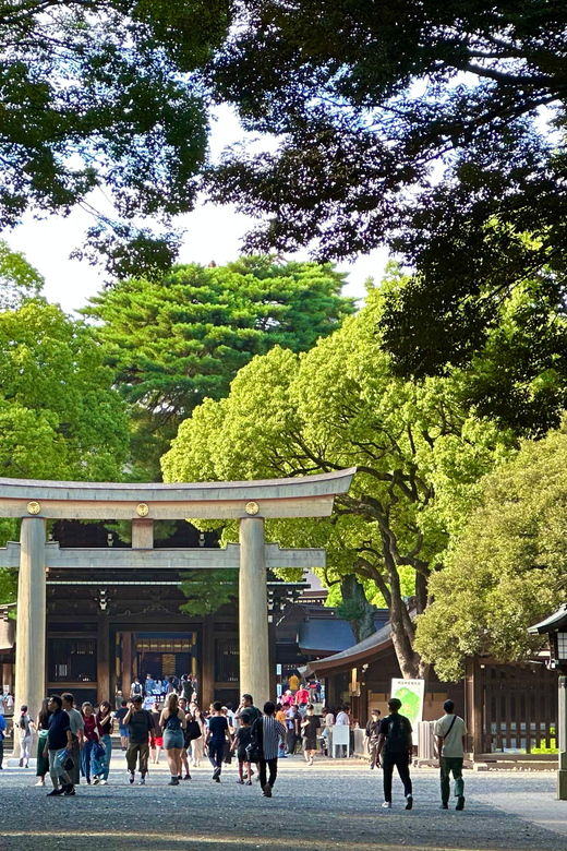 Tokyo: Meiji Jingu Shrine and Shinto Culture Walking Tour - Is $19 a fair price?