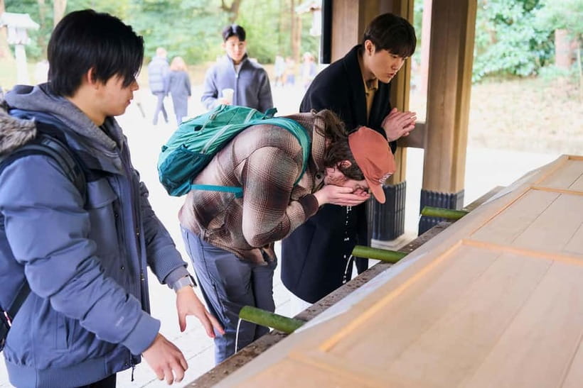 Tokyo: Meiji Shrine Walking Tour — Shinto & Imperial System - Who should book this Meiji Shrine walk?