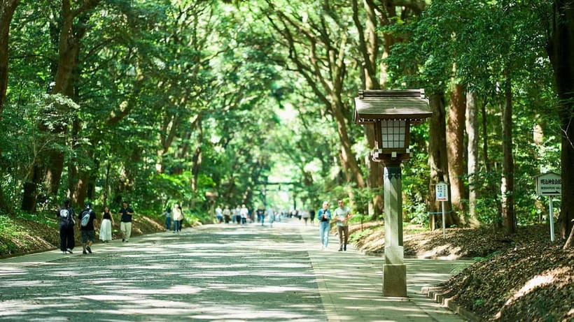 Tokyo: Meiji Shrine Walking Tour — Shinto & Imperial System - Sake barrels, wine barrels, and the symbols along the route