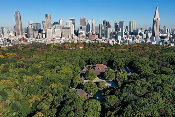Tokyo: Meiji Shrine Walking Tour — Shintoism & Imperial System - Why Meiji Shrine feels so different from Harajuku