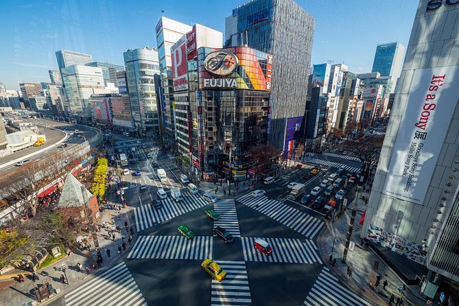 Tokyo Metropolis - Who should book this walk?