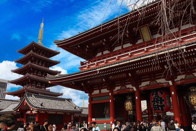 Tokyo Morning Tour : Meiji Shrine, Asakusa and Fish Market - Senso-ji and the Kaminarimon approach