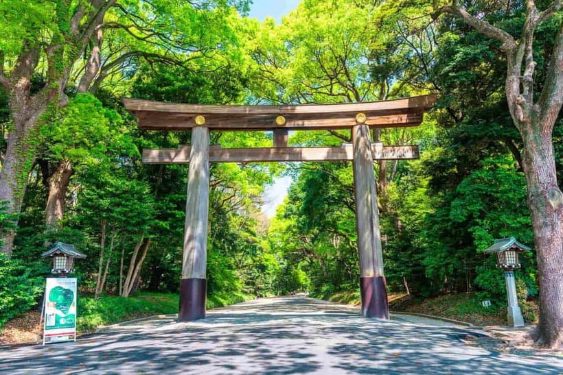 Tokyo Morning Tour: Meiji Shrine, Asakusa & Fish Market - Why this makes a smart first morning in Tokyo