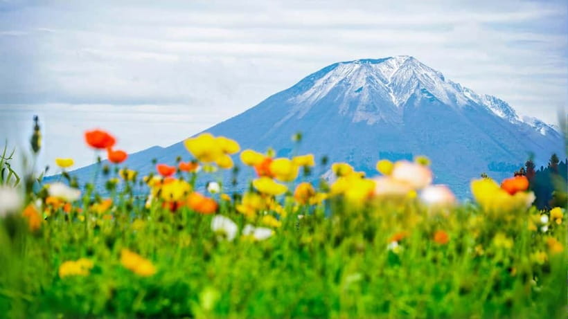 Tokyo: Mount Fuji 5th Station & Onsen Day Trip - Shintaku-yama Asama Park and the famous pagoda view
