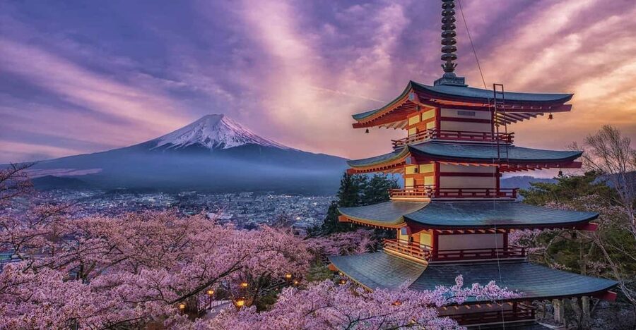 Tokyo: Mount Fuji & Hakone Private Tour with Guide - The quick verdict