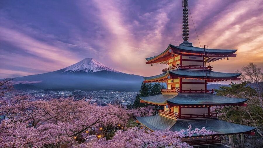 Tokyo: Mount Fuji & Hakone Private Tour with Guide - Kitaguchi Hongu Fuji Sengen Shrine and its cedar avenue