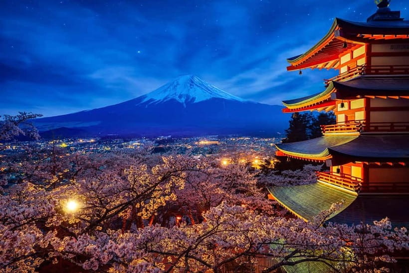 Tokyo: Mount Fuji & Hakone Private Tour with Guide - Lake Ashi by pirate ship