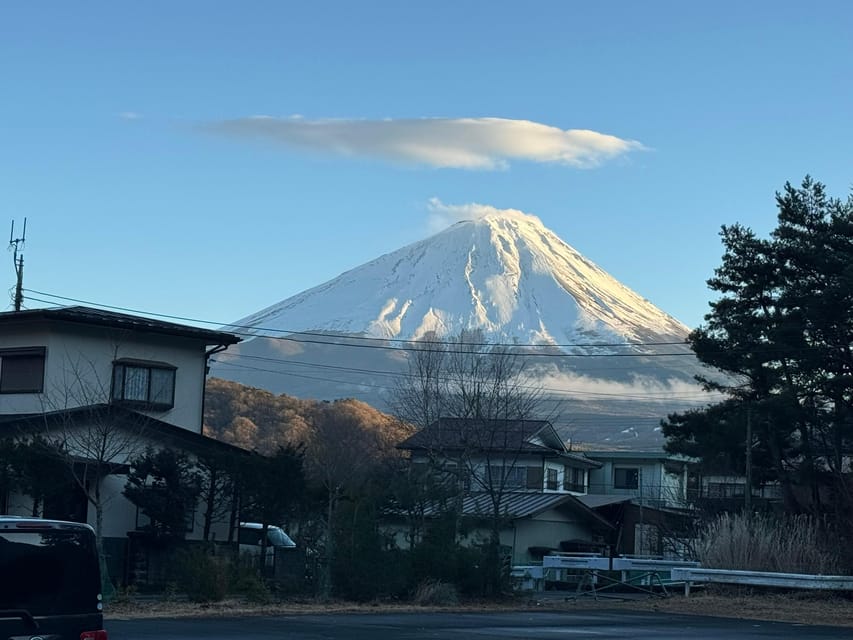 Tokyo: Mount Fuji & Hakone Private Tour with Guide - Chureito Pagoda, the classic Fuji photograph