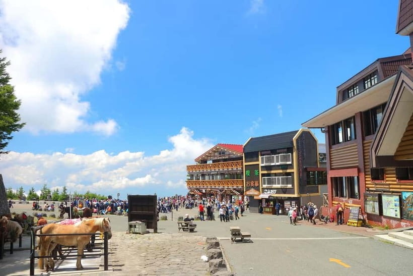 Tokyo: Mt. Fuji 5th St, Gotemba & Hakone by Luxury Bus - The best parts of the day at a glance