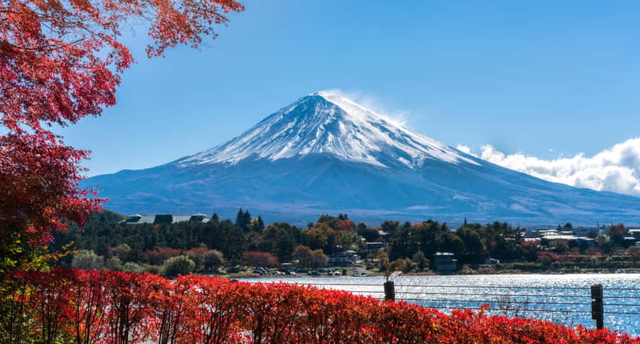 Tokyo: Mt. Fuji 5th Station, Kawaguchiko Tour w/ Cable Car - Three minutes to the Panoramic Ropeway viewpoint