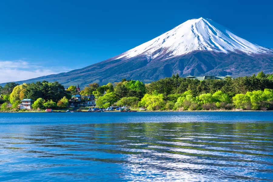 Tokyo: Mt. Fuji 5th Station, Kawaguchiko Tour w/ Cable Car - Transport, traffic, and the real length of the day