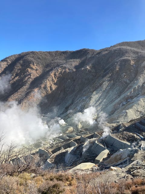Tokyo: Mt. Fuji and Hakone Tour with Cable Car and Cruise - Lunch, hot pot, and the half buffet