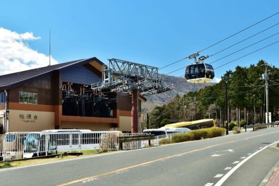 Tokyo: Mt. Fuji and Hakone Tour with Cable Car and Cruise - The Hakone Ropeway over Owakudani