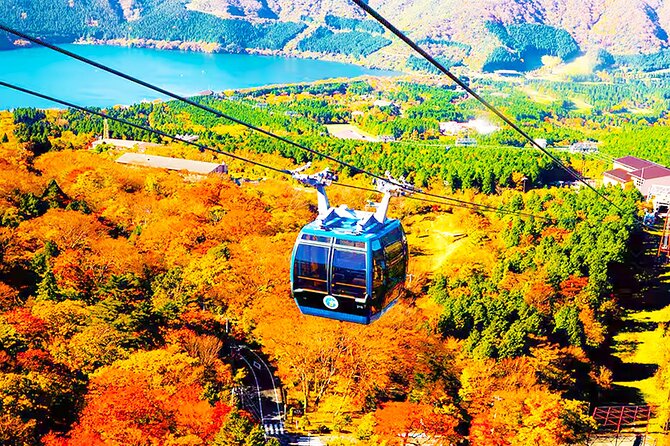 Tokyo: Mt. Fuji Cruise & Hakone Ropeway Day Trip by Bus - Lunch at Moto-Hakone Port