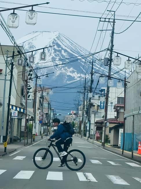 Tokyo: Mt. Fuji & Hakone Private Custom Tour English Driver - Why this private Fuji tour works from Tokyo