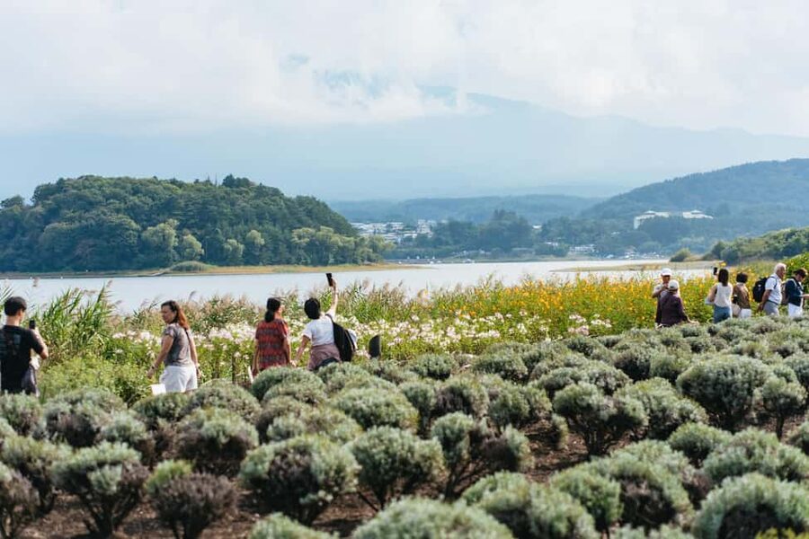 Tokyo: Mt. Fuji, Kamakura, Big Buddha, & Lake Ashi Day Trip - What the $49 price really buys you