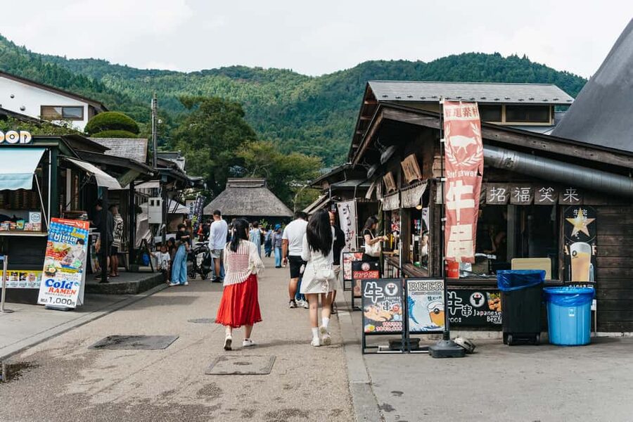 Tokyo: Mt. Fuji, Kamakura, Big Buddha, & Lake Ashi Day Trip - The guide can make or break a packed schedule
