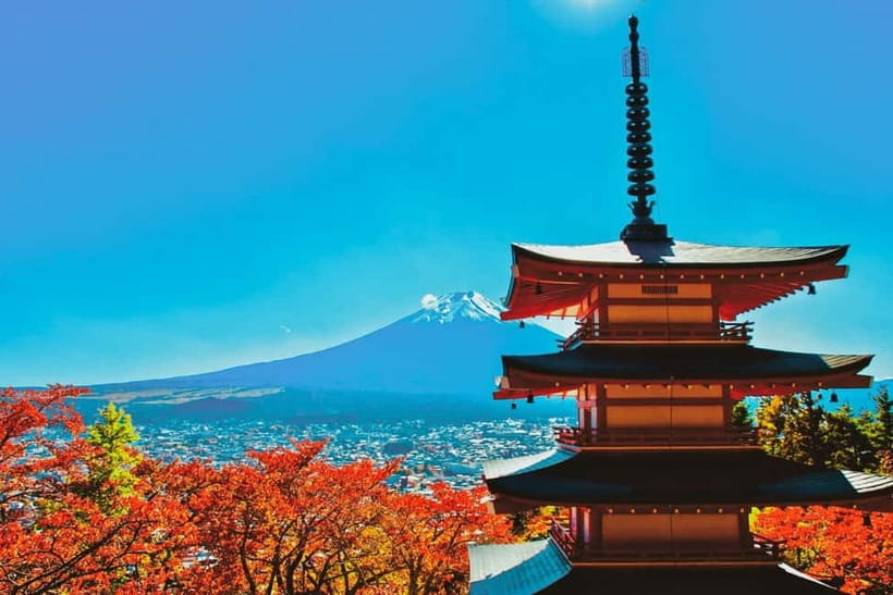Tokyo:Mt.Fuji,Kawaguchiko Oishi Park,Arakurayama Sengen Park - Key points to know before booking