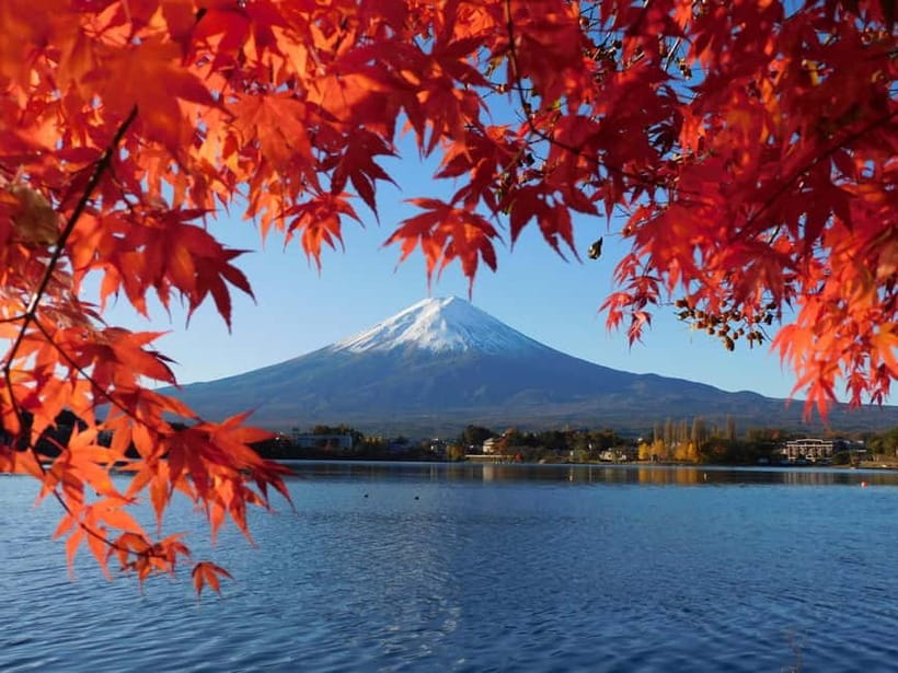 Tokyo:Mt.Fuji,Kawaguchiko Oishi Park,Arakurayama Sengen Park - Why this Mt. Fuji tour works as a day trip from Tokyo