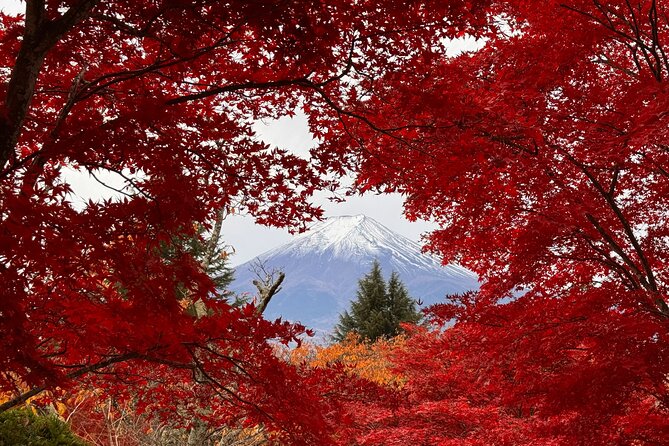 Tokyo: Mt.Fuji & Lake Kawaguchiko 1-Day Bus Tour w/Optional Lunch - Why this bus trip works from Tokyo