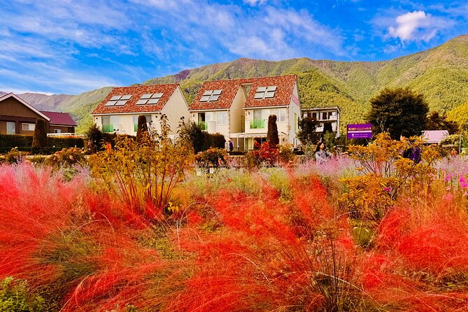 Tokyo: Mt.Fuji & Lake Kawaguchiko 1-Day Bus Tour w/Optional Lunch - The biggest variable is Fuji weather
