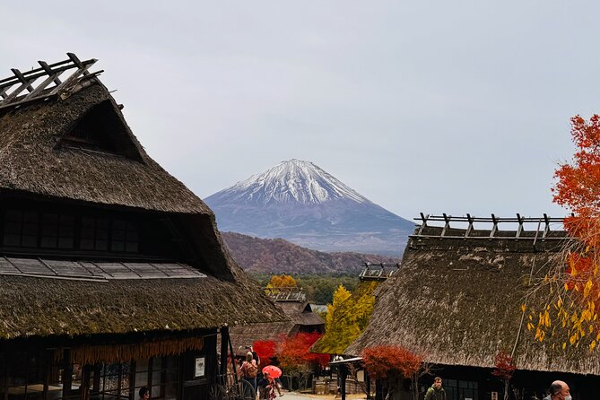 Tokyo: Mt.Fuji & Lake Kawaguchiko 1-Day Bus Tour w/Optional Lunch - Who will enjoy this day most?