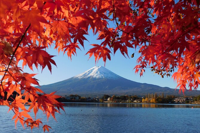 Tokyo: Mt.Fuji & Lake Kawaguchiko 1-Day Bus Tour w/Optional Lunch - Lake Kawaguchiko, craft shops, and the lunch choice