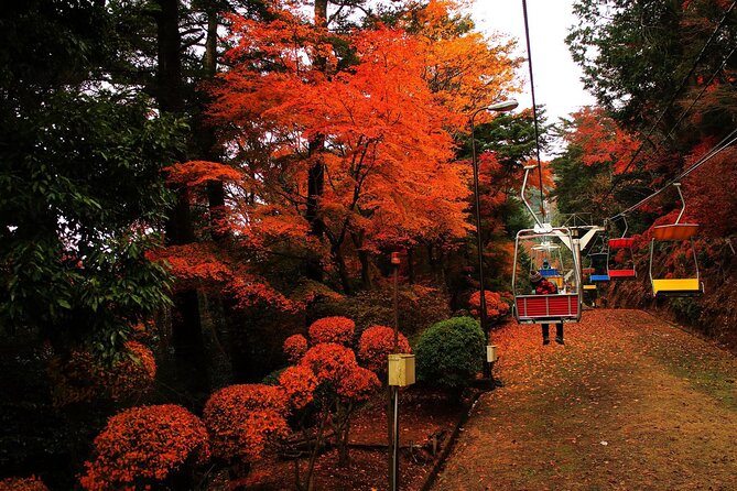 Tokyo: Mt Takao Tour with Ramen and Tattoo-Okay Hot Spring - The day in five useful points