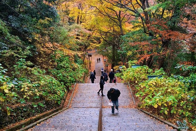 Tokyo: Mt Takao Tour with Ramen and Tattoo-Okay Hot Spring - Riding the cable car or chair lift