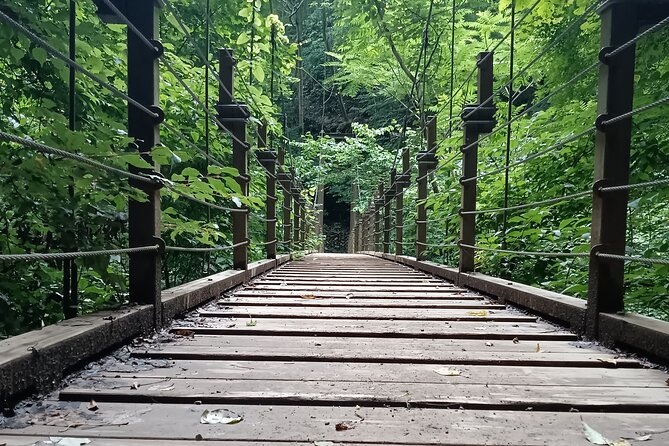 Tokyo: Mt Takao Tour with Ramen and Tattoo-Okay Hot Spring - The descent, suspension bridge, and second look at Takao