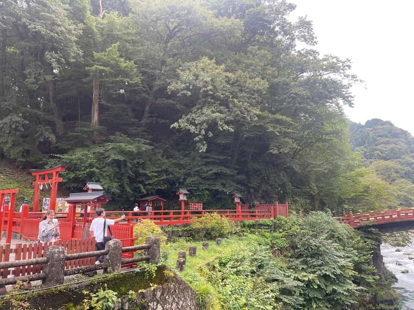 Tokyo: Nikko Private Customize Tour English Driver & Guide - Why Nikko is worth the long ride from Tokyo