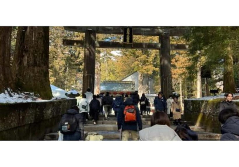 Tokyo: Nikko World Heritage Private Day Trip Hotel Pick-up - Key points to know before booking