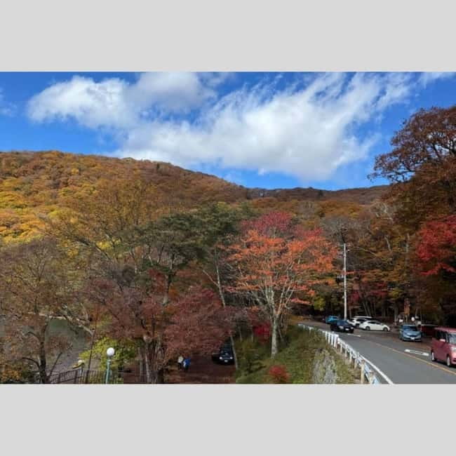 Tokyo: Nikko World Heritage Private Day Trip Hotel Pick-up - Shinkyo Bridge, Nikko’s sacred gateway