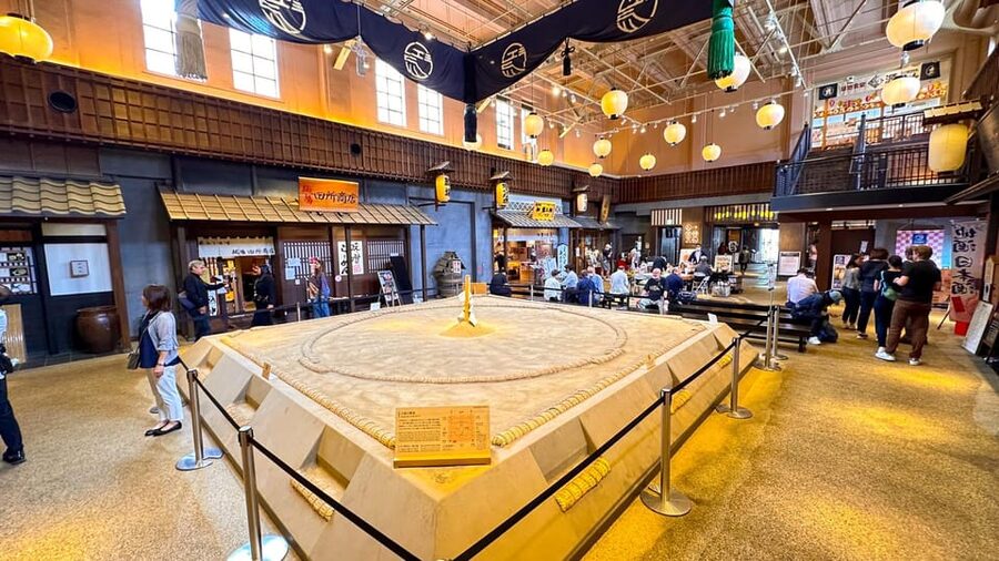 Tokyo: Not a show- a professional sumo practice with experts - What makes the experience memorable