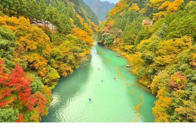 Tokyo Okutama Day Trip Tour - Key details that shape the day