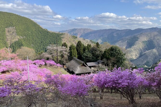 Tokyo Okutama Day Trip Tour - Hinohara Village and a window into old Japan
