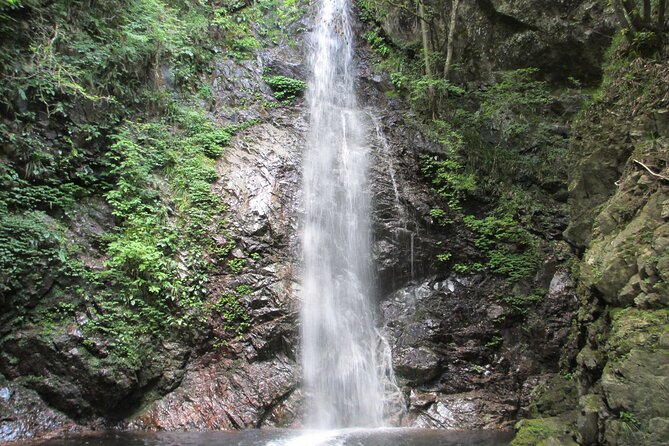 Tokyo Okutama Day Trip Tour - Kanoto Rock and the river valley walk