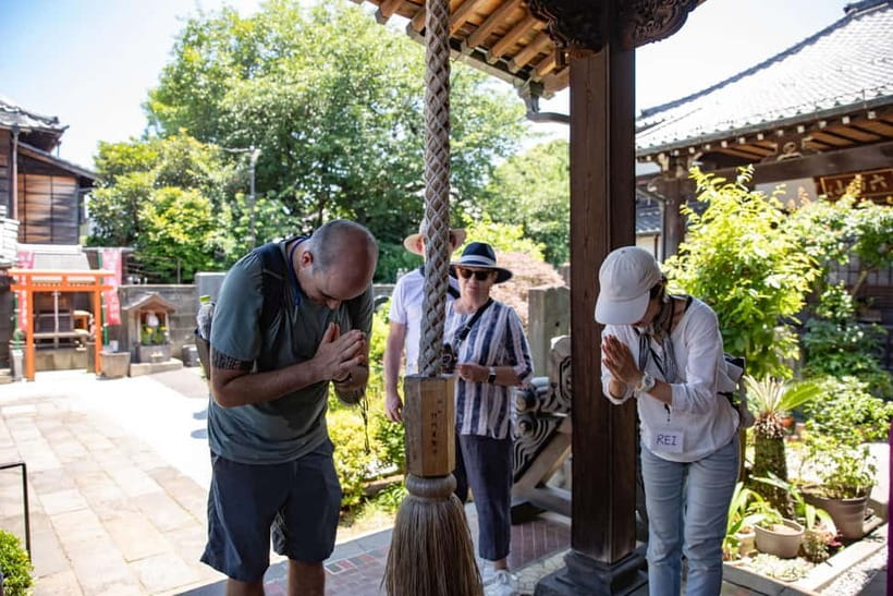 Tokyo: Old Quarter Yanaka Walking Tour - The Himalayan Cedar and Yanaka’s Green Corners