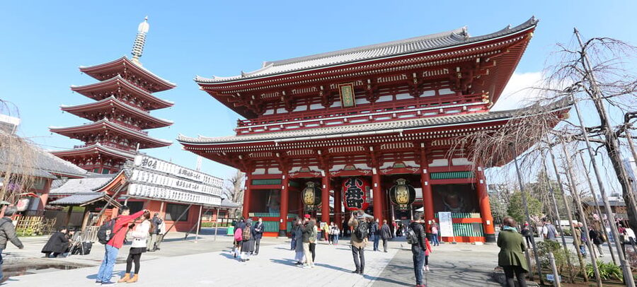 Tokyo: Private City Highlights Tour with Local Guide - Harajuku, Takeshita Street, and modern youth culture