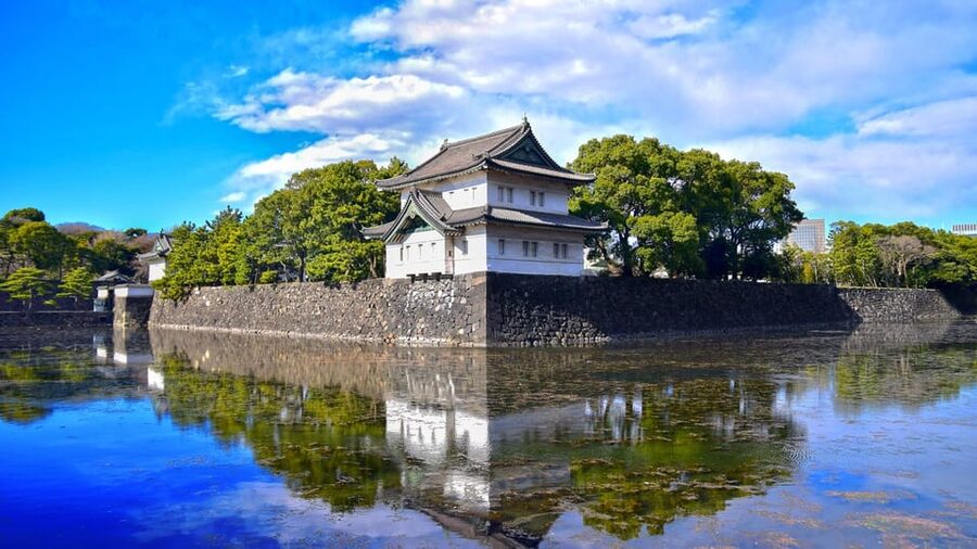 Tokyo: Private City Highlights Tour with Local Guide - Shibuya and Shinjuku after dark or during the day