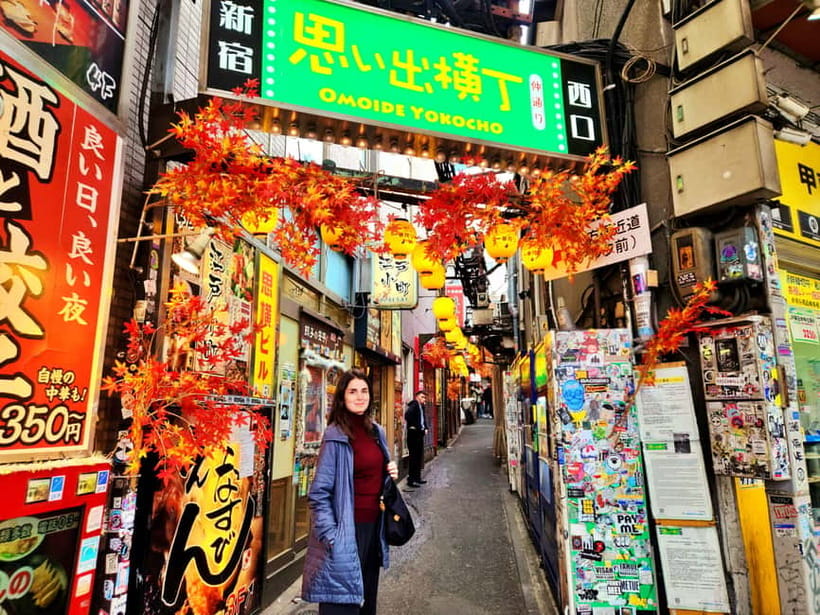 Tokyo: Private & Customizable Tour - All-in-One Experience - What this Tokyo tour really offers