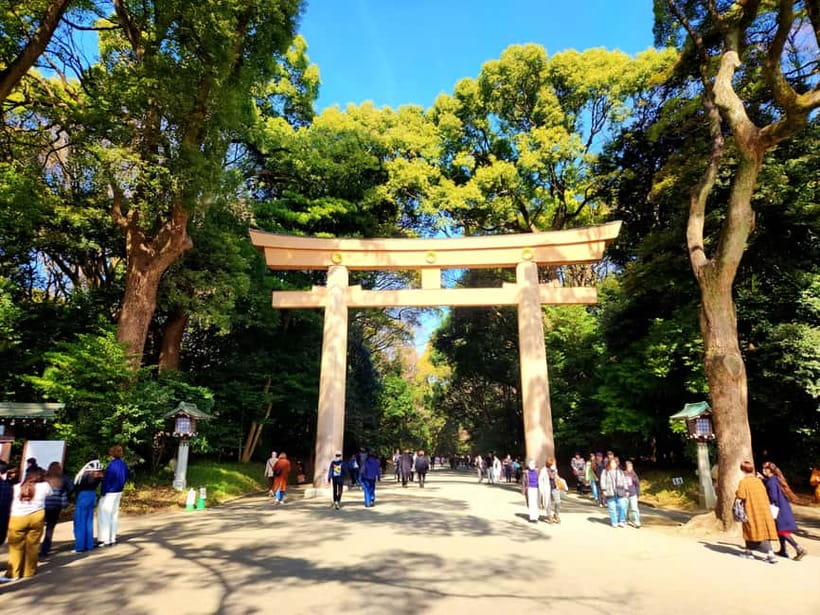 Tokyo: Private & Customizable Tour - All-in-One Experience - Learning the Tokyo metro without panic